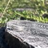 Silver Primitive Coil Ring - Image 3